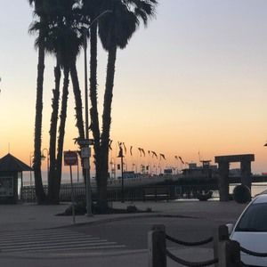 Meet your Posher, Jessie